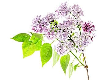 肉鸽战术新作《德斯塔：记忆之间》正式发售 上市宣传片赏